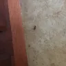 Tuli Realty - awful apartment and awful service - Photo 1