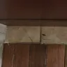 Tuli Realty - awful apartment and awful service - Photo 3