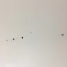 Tuli Realty - awful apartment and awful service - Photo 5