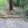 Georgia Power - Landscape damage at utility pole - Photo 9