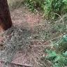 Georgia Power - Landscape damage at utility pole - Photo 1