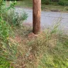 Georgia Power - Landscape damage at utility pole - Photo 2