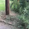 Georgia Power - Landscape damage at utility pole - Photo 12