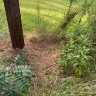 Georgia Power - Landscape damage at utility pole - Photo 6