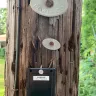 Georgia Power - Landscape damage at utility pole - Photo 7