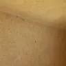 Ramada - Bed bugs
