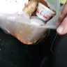 KFC - I was told I could not order any additional items such as a drink - Photo 1