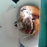 Cinnabon - cinnamon bun poorly crafted - Photo 4