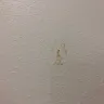 Americas Best Value Inn - horrible room conditions - Photo 3
