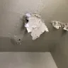 NYC Housing Authority [NYCHA] - water damage in apt un resolved for months