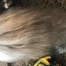 Etsy - wig - Photo 2