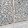 Gardening Express - Dead tree - Photo 1