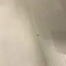 Orkin - cockroaches - Photo 2