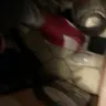 Orkin - cockroaches - Photo 3