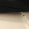 Orkin - cockroaches - Photo 1