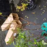 Gardening Express - Supply of plants - Photo 2