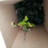 Gardening Express - Supply of plants - Photo 6