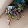 Gardening Express - Supply of plants - Photo 4