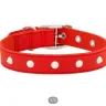 Daraz.pk - dogs collar - Photo 2
