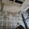 Ahmedabad Municipal Corporation [AMC] - street dogs - Photo 1