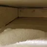 Carnival Cruise Lines - sweet bathroom - Photo 7