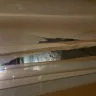 Americas Best Value Inn - hotel - Photo 3