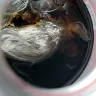 Coca-Cola - contaminant in 16 oz plastic coke bottle - Photo 2