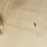 Hilton Worldwide - cleanliness - Photo 1