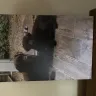 My-picture.co.uk - canvas picture. - Photo 1