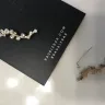 FabFitFun - baublebar earring (in the fall box)