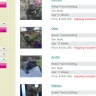 PuppyFind - false advertisement of puppies for sale - Photo 1