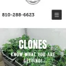 Green Rush Farms - clones