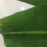 LuLu Hypermarket - poor quality - Photo 1