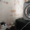 ABSA Bank - repair of house - Photo 3