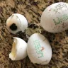Al Madina Hypermarket - Jenan eggs - Photo 2