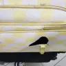 Etihad Airways - changed route flight and damage luggages and laptop