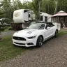 Ford - 2015 mustang gt premium - Photo 1