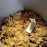 Save-A-Lot - dish's four cheese lasagna - Photo 2
