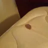 Americas Best Value Inn - customer service house cleaning - Photo 1