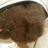Home Depot - dog bed - item number [protected] - Photo 2