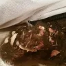 Home Depot - dog bed - item number [protected] - Photo 5