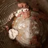 Purina - dog chow high protein can dog food beef - Photo 3