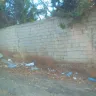 Coca-Cola - coca cola company throwing their garbage on the ground near our neighborhood - Photo 8