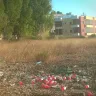 Coca-Cola - coca cola company throwing their garbage on the ground near our neighborhood