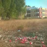 Coca-Cola - coca cola company throwing their garbage on the ground near our neighborhood - Photo 10