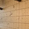 Aldi - cleanliness of store - Photo 1