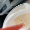 Sonic Drive-In - cookie dough blast - Photo 2