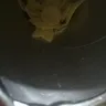 Pringles - original chips - Photo 2