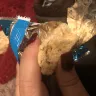 Kellogg's - rice crispy treats