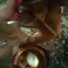 Coca-Cola - can of regular coca cola - Photo 1